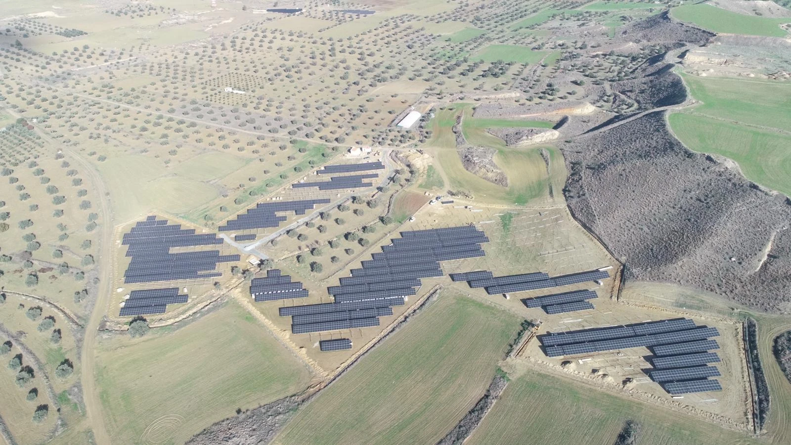 3c314a06_486c_46f6_a829_7ea03b58e4a0_1x